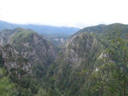 2015 Naturfreundetag (6)